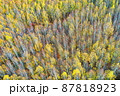 87818923