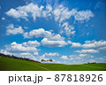 87818926