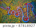 87818927