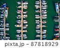 87818929