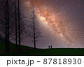 87818930