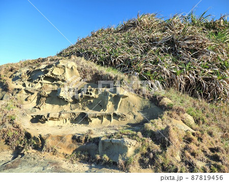 沖縄県 与那国島 久部良バリ 87819456
