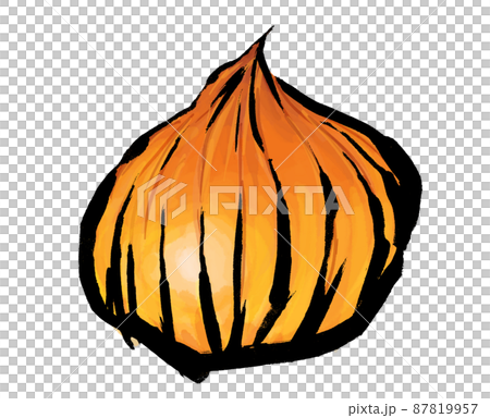 洋蔥手繪插畫素材 洋蔥手繪插畫素材 87819957