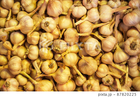 Fresh garlic cloves background. 87820225