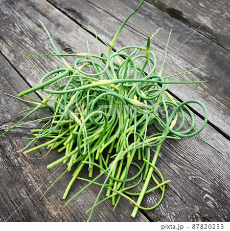 Garlic green shoots 87820233