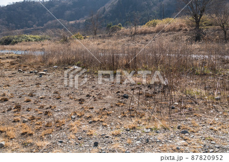 【八菅橋河川敷 火事の後】 【八菅橋河川敷 火事の後】 87820952