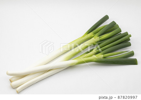 白バックの長ネギ 87820997