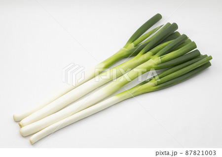 白バックの長ネギ 白バックの長ネギ 87821003