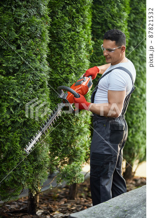 Strong male gardener in uniform, glasses and gloves using electric hedge cutter for work outdoors. Caucasian man shaping overgrown thuja during summer time. 87821532