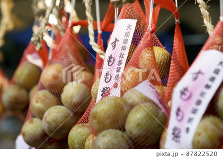 大國魂神社　秋祭　旧随神門 　建て替え　移築　神社仏閣　陽射し　扉　ずいじんもん 87822520