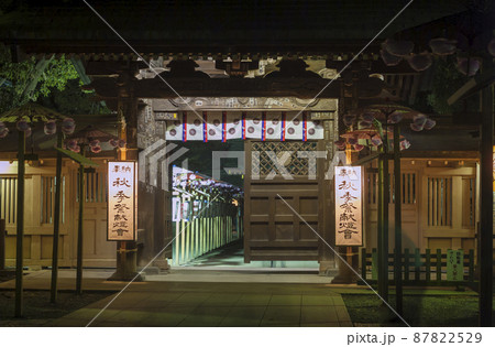 大國魂神社 秋祭 旧随神門 建て替え 移築 神社仏閣 陽射し 扉 ずいじんもん 大國魂神社 秋祭 旧随神門 建て替え 移築 神社仏閣 陽射し 扉 ずいじんもん 87822529