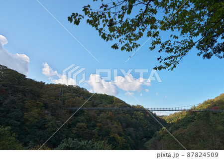 《島根県》県立自然公園 鬼の舌震の風景【11月】 《島根県》県立自然公園 鬼の舌震の風景【11月】 87824509