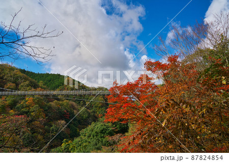 《島根県》県立自然公園 鬼の舌震の風景【11月】 87824854
