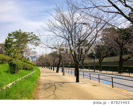 東京九段・皇居外苑代官町通リ 東京九段・皇居外苑代官町通リ 87825403