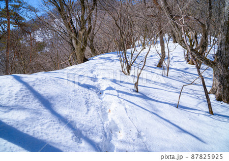 （山梨県）厳冬の御坂黒岳、雪山 87825925