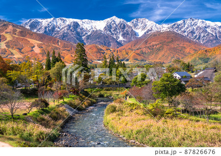《長野県》紅葉最盛期の白馬村・三段紅葉 87826676