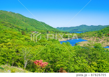 赤城公園 覚満淵 大沼 鳥居峠からの眺め 初夏の風景 赤城公園 覚満淵 大沼 鳥居峠からの眺め 初夏の風景 87826705