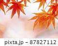 紅葉。 87827112