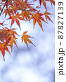 紅葉。 87827139