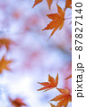 紅葉。 87827140
