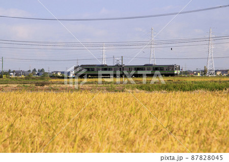 秋の田園を行く弥彦線E127系 秋の田園を行く弥彦線E127系 87828045