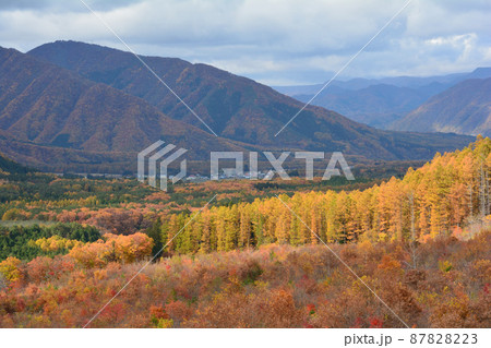 観音沼森林公園の紅葉 2021-11-3 #90 観音沼森林公園の紅葉 2021-11-3 #90 87828223