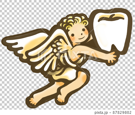 歯医者さん向き　手描き ふんわりイラスト線　両手できれいな歯を抱えるかわいい天使右向き　 87829802