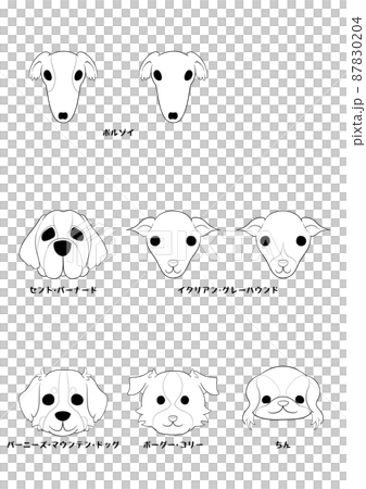 狗的正面)6 種狗品種 8 隻狗套裝)線條藝術 狗的正面)6 種狗品種 8 隻狗套裝)線條藝術 87830204