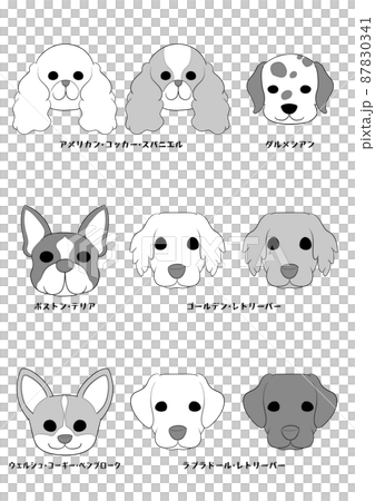 狗的正面)6犬種9犬組)灰度 狗的正面)6犬種9犬組)灰度 87830341