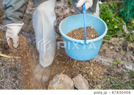 バケツを持って家庭菜園に肥料をまくシニア男性 87830408
