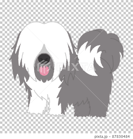 チベタンテリアの犬イラスト 87830484