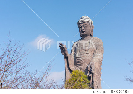 牛久大仏 牛久大仏 87830505