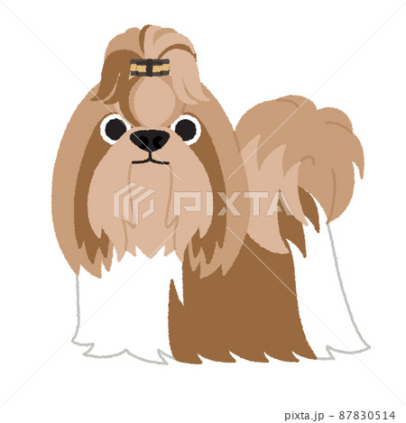 シーズーの犬イラスト シーズーの犬イラスト 87830514