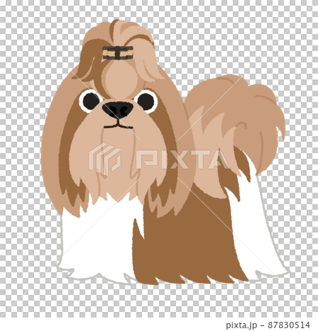 シーズーの犬イラスト シーズーの犬イラスト 87830514