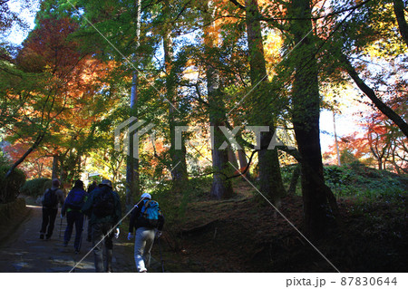 福岡県の低山「清水山」 紅葉のハイキングコース 福岡県の低山「清水山」 紅葉のハイキングコース 87830644