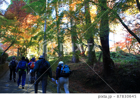 福岡県の低山「清水山」 紅葉のハイキングコース 福岡県の低山「清水山」 紅葉のハイキングコース 87830645