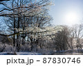 釧路川源流から望む太陽と凍った木々 87830746