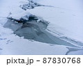 屈斜路湖の御神渡り現象3 87830768