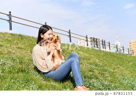 屋外で愛犬（ミニチュアダックスフンド）と遊ぶ若い女性 87831155