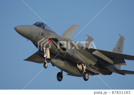 着陸する航空開発実験団のF-15J　岐阜基地 87831165