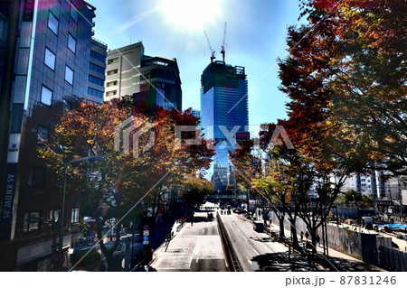 眩い東京 87831246