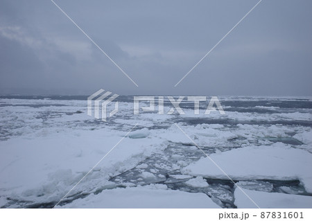 網走のおーろら号から見た、海面を埋め尽くす流氷 網走のおーろら号から見た、海面を埋め尽くす流氷 87831601