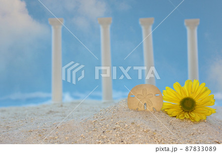 Flower and Sea Shell on Beach With Roman Ruins 87833089