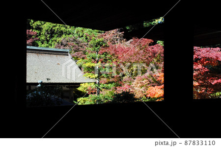 秋の金剛輪寺 本堂から見た紅葉の風景 滋賀県愛知郡 秋の金剛輪寺 本堂から見た紅葉の風景 滋賀県愛知郡 87833110