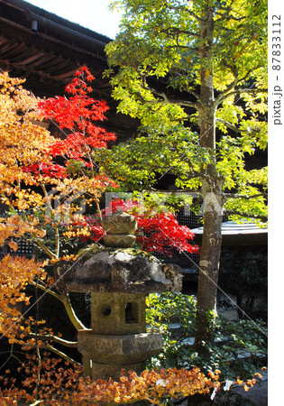 秋の金剛輪寺 境内の紅葉 滋賀県愛知郡 秋の金剛輪寺 境内の紅葉 滋賀県愛知郡 87833112