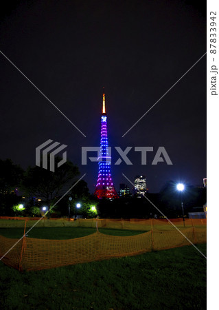 夜のライトアップした東京タワー【都会イメージ】 夜のライトアップした東京タワー【都会イメージ】 87833942