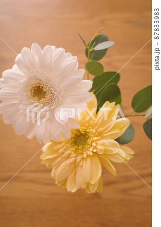 白と黄色の花のフラワーアレンジメント 白と黄色の花のフラワーアレンジメント 87833983