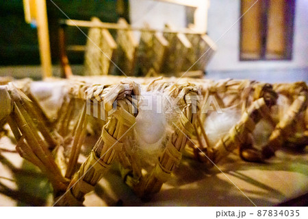 【群馬県　富岡】富岡製糸場 87834035