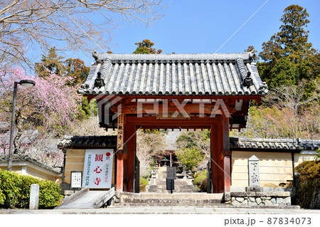 観心寺(山門・枝垂れ梅) 【大阪府河内長野市】 観心寺(山門・枝垂れ梅) 【大阪府河内長野市】 87834073