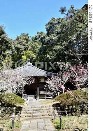 観心寺(牛滝堂・梅林)　【大阪府河内長野市】 87834479